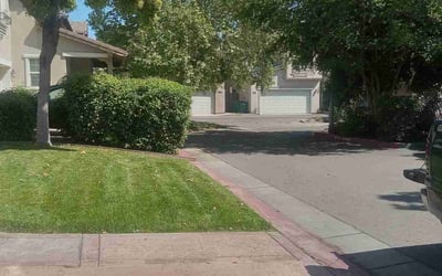 Photo of Maniya H.'s yard after getting lawn care in Wasco, CA