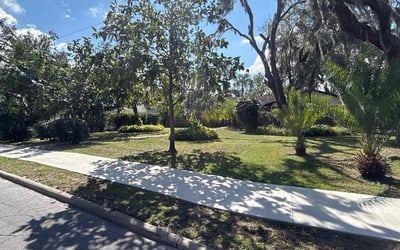 Photo of Michael D.'s yard after getting lawn care in Gulfport, FL