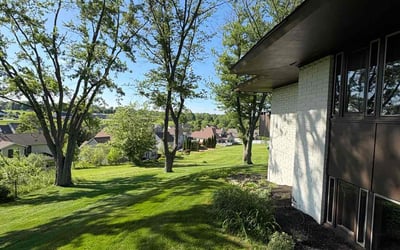Photo of Lorenzo S.'s yard after getting lawn care in San Diego, CA