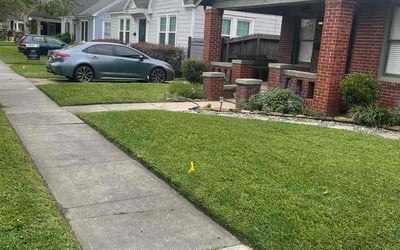 Photo of Terrance A.'s yard after getting lawn care in Dayton, TX