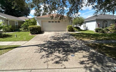 Photo of Manjusha P.'s yard after getting lawn care in Seffner, FL