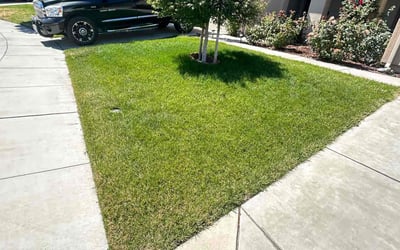 Photo of Ashley M.'s yard after getting lawn care in Manteca, CA