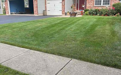 Photo of Adolfo S.'s yard after getting lawn care in Lakewood, WA