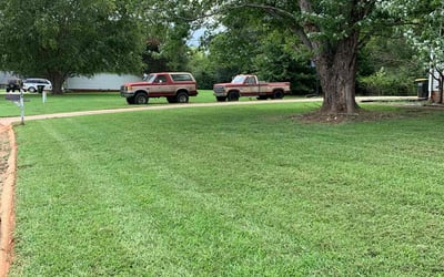 Photo of Bob D.'s yard after getting lawn care in Easley, SC