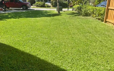 Photo of Raquel C.'s yard after getting lawn care in Imperial, PA