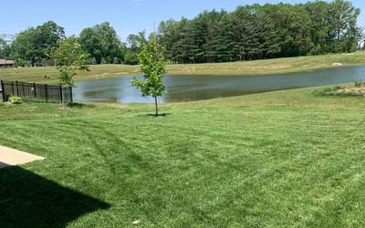 Photo of Morgan H.'s yard after getting lawn care in Elwood, IN