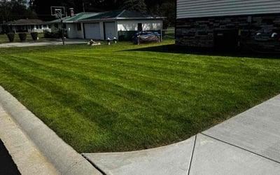 Photo of Derek S.'s yard after getting lawn care in Cuyahoga Falls, OH