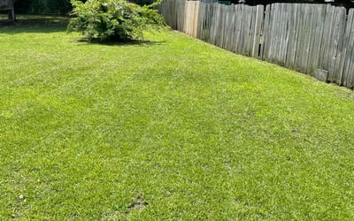 Photo of Layla P.'s yard after getting lawn care in Willimantic, CT