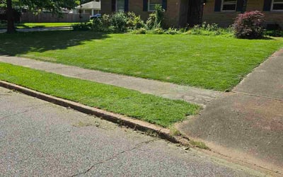 Photo of Deborah H.'s yard after getting lawn care in Cliffside Park, NJ