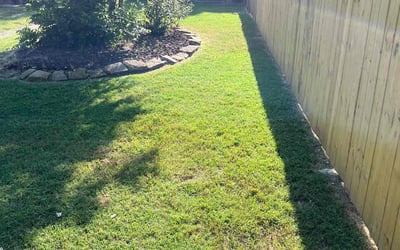 Photo of Monique W.'s yard after getting lawn care in Wichita Falls, TX