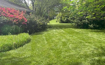 Photo of William P.'s yard after getting lawn care in McLean, VA