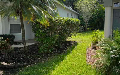 Photo of Rachel W.'s yard after getting lawn care in Gold Canyon, AZ