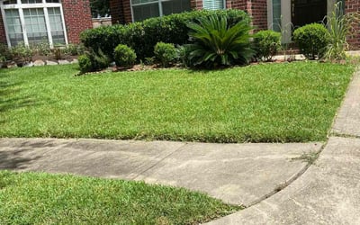 Photo of Tina M.'s yard after getting lawn care in Troy, MO