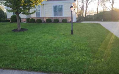 Photo of Matthew S.'s yard after getting lawn care in Sandy, UT