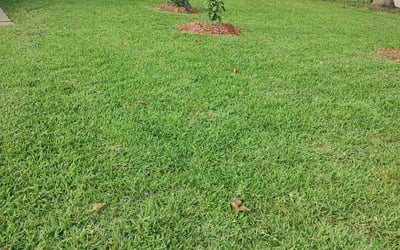 Photo of Emily M C.'s yard after getting lawn care in East Falmouth, MA