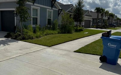 Photo of Lenora W.'s yard after getting lawn care in Buckeye, AZ