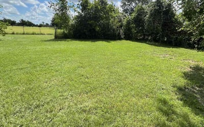 Photo of Eula H.'s yard after getting lawn care in Clinton, MD