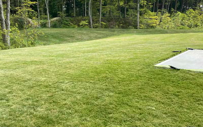 Photo of Adelaide A.'s yard after getting lawn care in Danville, IN