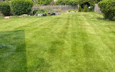 Photo of Barbara M.'s yard after getting lawn care in Libertyville, IL