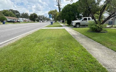 Photo of Chad M.'s yard after getting lawn care in New Port Richey, FL