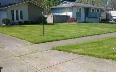 Photo of John P.'s yard after getting lawn care in North Ridgeville, OH