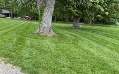 Photo of Kaleb M.'s yard after getting lawn care in Fargo, ND