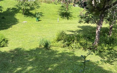 Photo of Geneva Y.'s yard after getting lawn care in Iowa City, IA