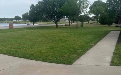 Photo of Michael D.'s yard after getting lawn care in Addison, TX