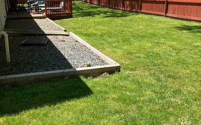 Photo of Michael S.'s yard after getting lawn care in Hingham, MA