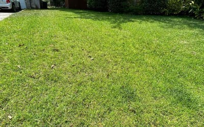 Photo of Maurice A.'s yard after getting lawn care in Newberg, OR