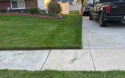 Photo of Derrick R.'s yard after getting lawn care in Randallstown, MD