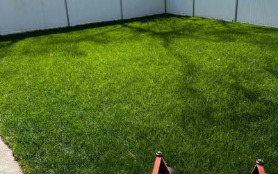 Photo of Jennifer H.'s yard after getting lawn care in Inkster, MI