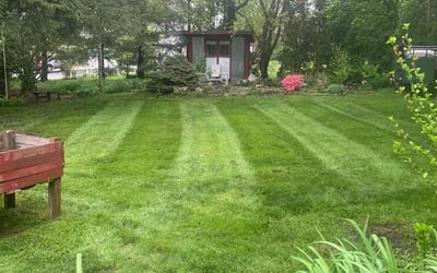 Photo of Hollis H.'s yard after getting lawn care in Lititz, PA