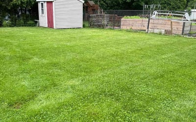 Photo of Silvia B.'s yard after getting lawn care in Swansea, MA