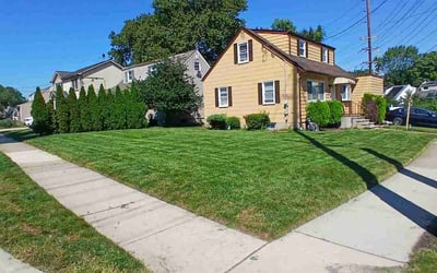 Photo of Lisa P.'s yard after getting lawn care in Union, NJ