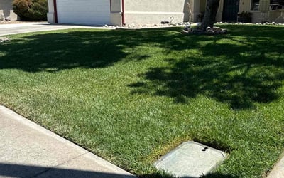 Photo of Sue R.'s yard after getting lawn care in Patterson, CA