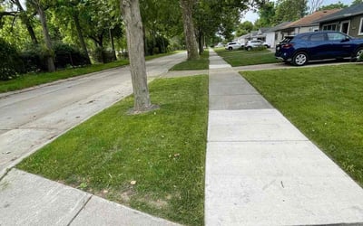 Photo of Hussein A.'s yard after getting lawn care in Dearborn Heights, MI