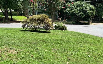 Photo of Dana C.'s yard after getting lawn care in Brookhaven, GA