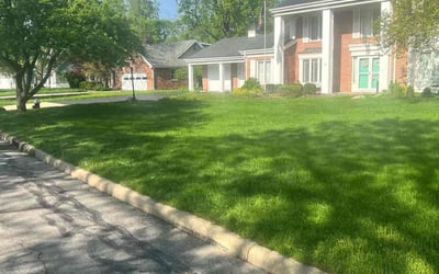 Photo of Mike K.'s yard after getting lawn care in Sylvania, OH