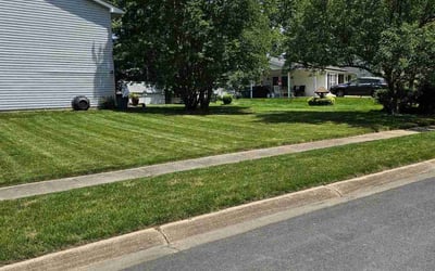 Photo of Karina H.'s yard after getting lawn care in Waldorf, MD