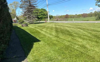 Photo of Larry S.'s yard after getting lawn care in Taunton, MA