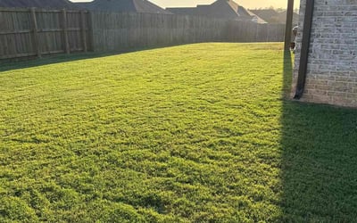 Photo of Mikkel H.'s yard after getting lawn care in Jacksonville, AR