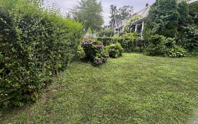 Photo of Tuan B.'s yard after getting lawn care in White Plains, NY