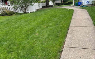 Photo of Brian L.'s yard after getting lawn care in Bethlehem, PA