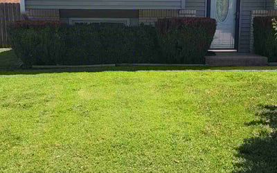 Photo of Carolyn R.'s yard after getting lawn care in Greer, SC