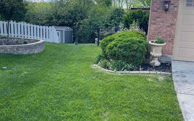 Photo of Angela P.'s yard after getting lawn care in Springboro, OH