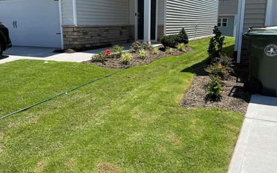 Photo of Martha C.'s yard after getting lawn care in Kenly, NC