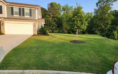 Photo of Nikki E.'s yard after getting lawn care in Tampa, FL