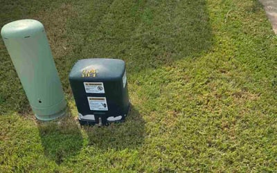 Photo of Liz W.'s yard after getting lawn care in Tempe, AZ