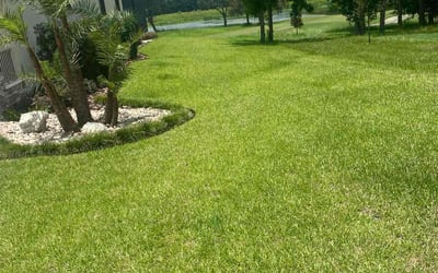 Photo of Helga G.'s yard after getting lawn care in Brooksville, FL